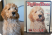 Reviewer image