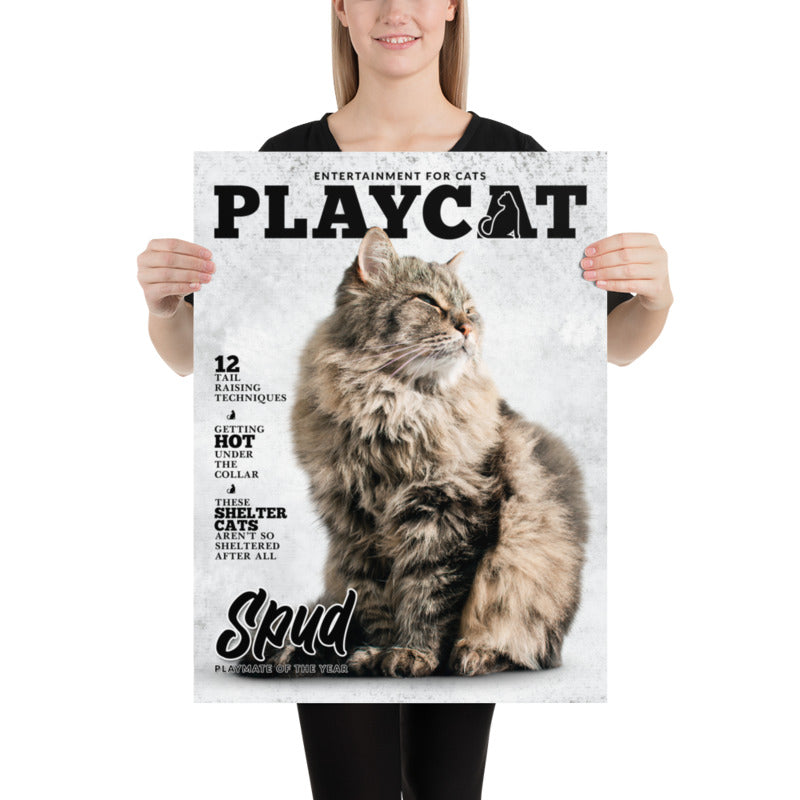 Cat Print