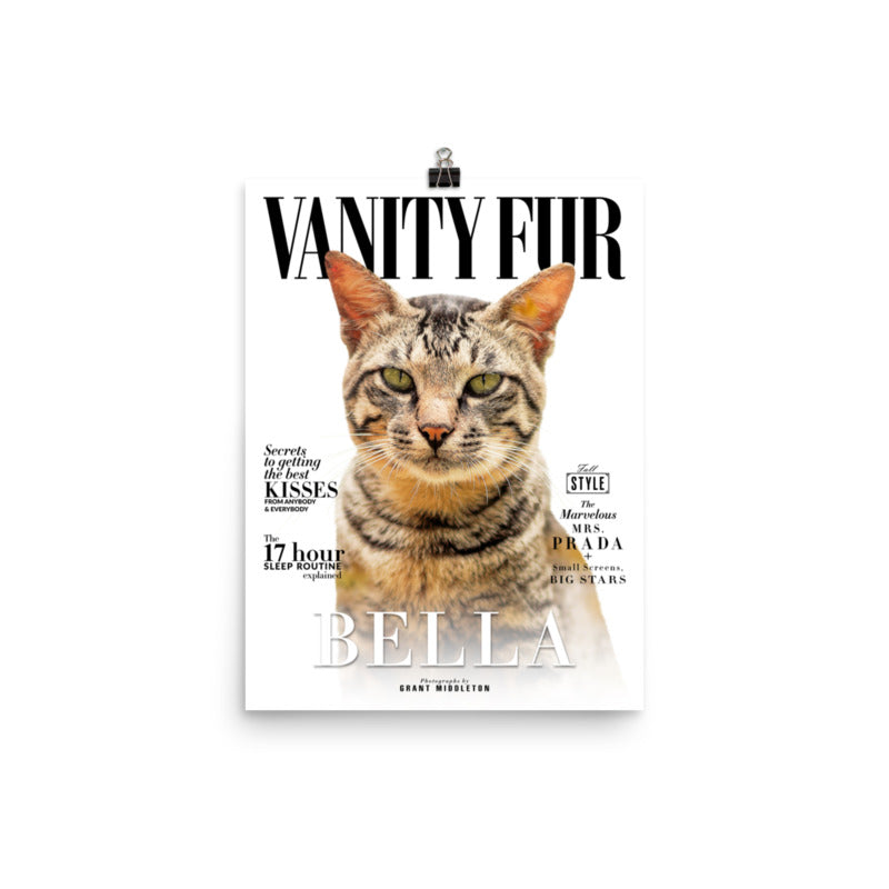 Cat Print
